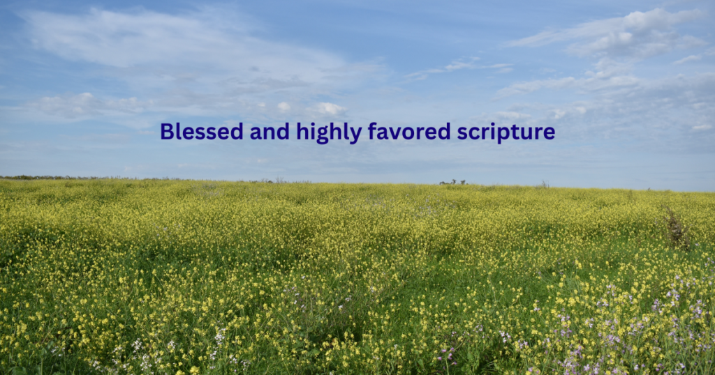 Bible Verses About Being Blessed and Highly Favored