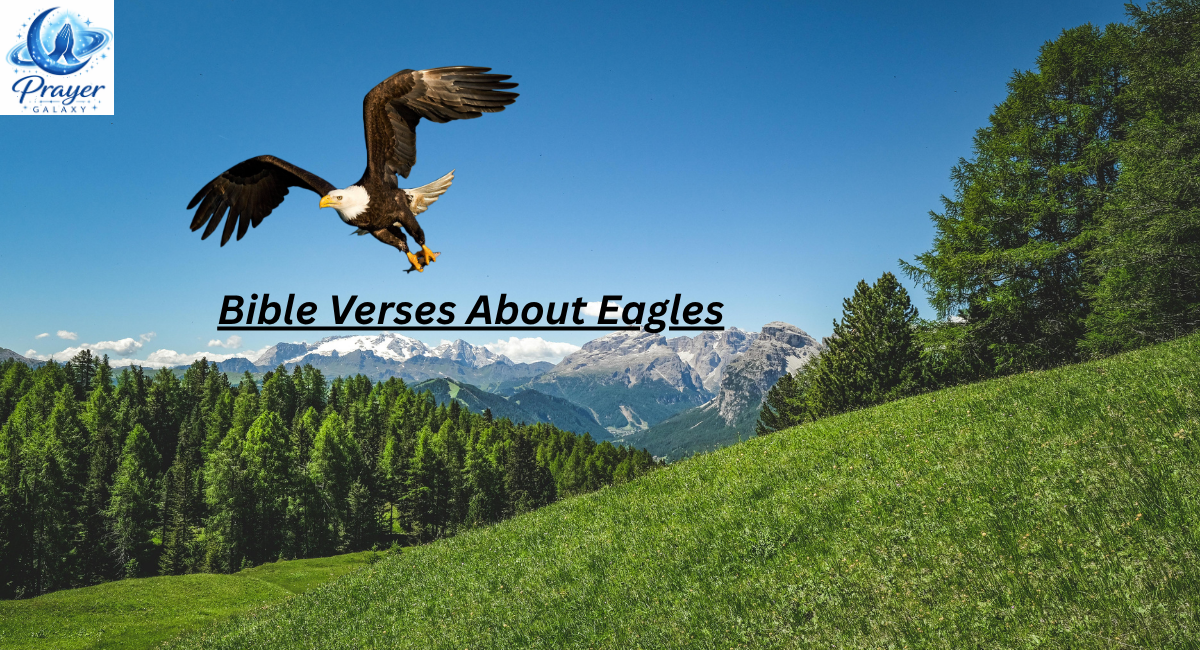 Bible Verses About Eagles