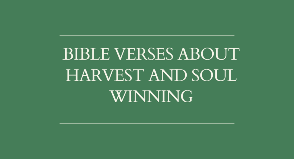 Bible Verses About Harvest and Soul Winning