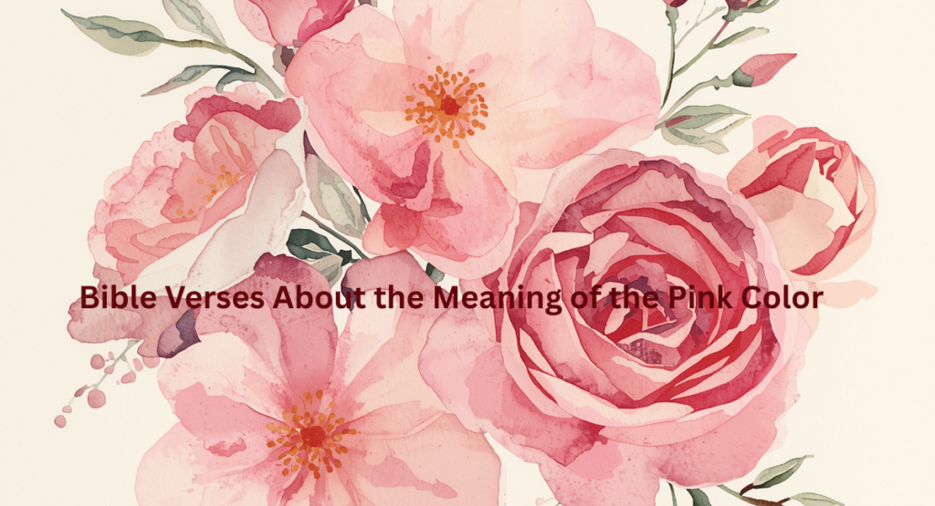 Bible Verses About the Meaning of the Pink Color