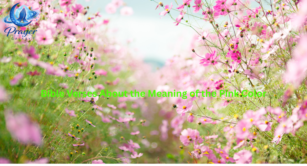 Bible Verses About the Meaning of the Pink Color