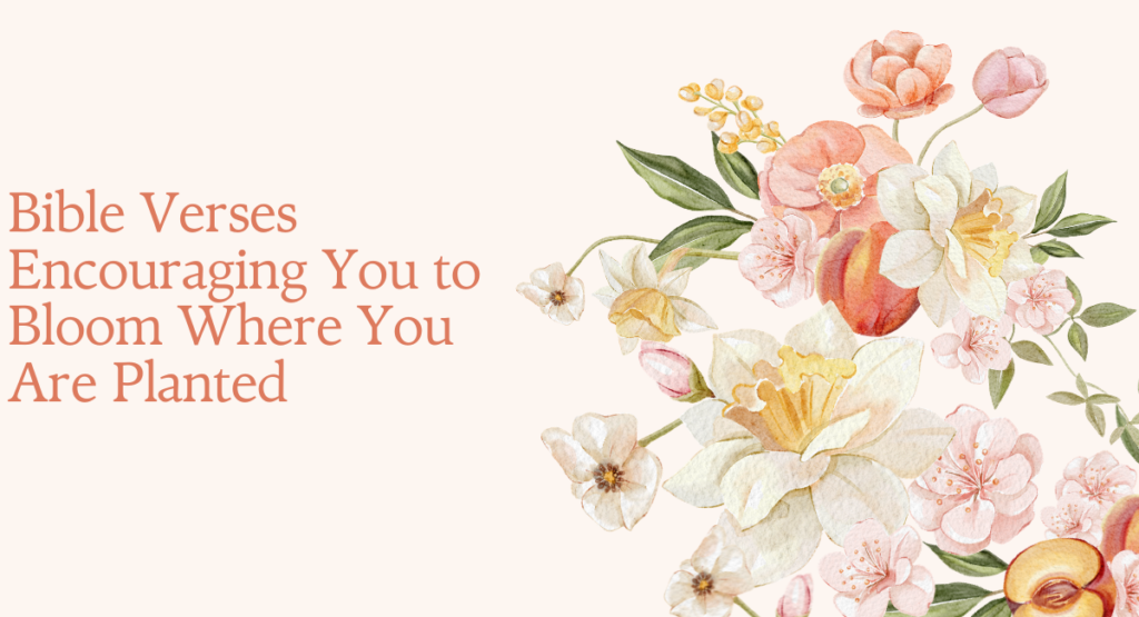 Bible Verses Encouraging You to Bloom Where You Are Planted