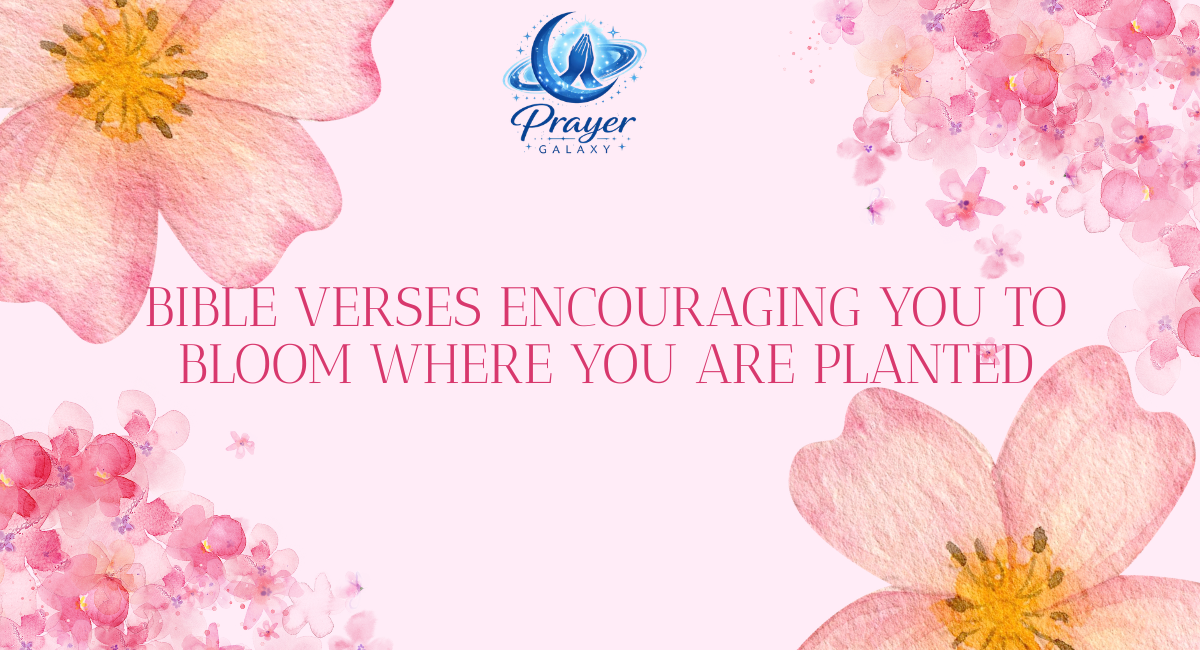 Bible Verses Encouraging You to Bloom Where You Are Planted