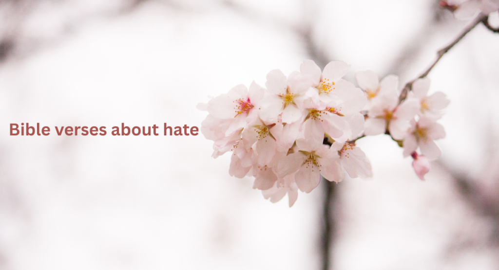 Bible verses about hate