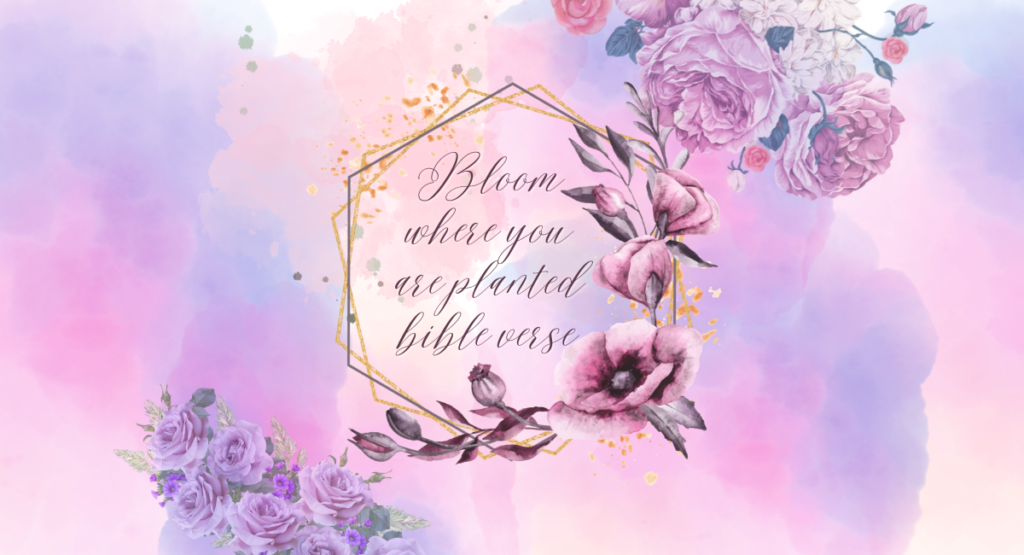 Bloom where you are planted bible verse