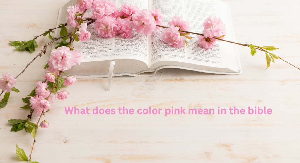 What does the color pink mean in the bible