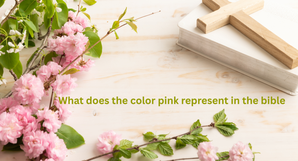 What does the color pink represent in the bible