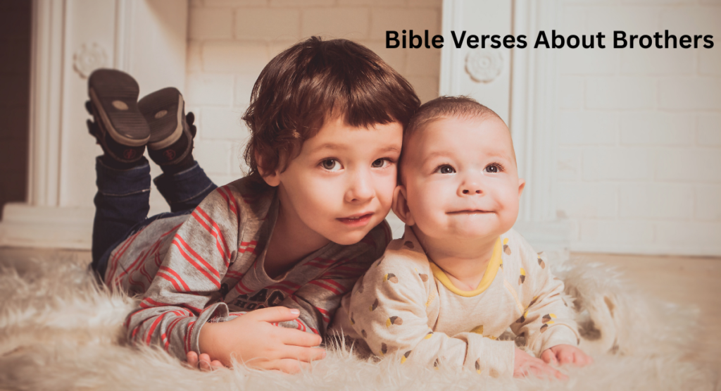 Bible Verses About Brothers